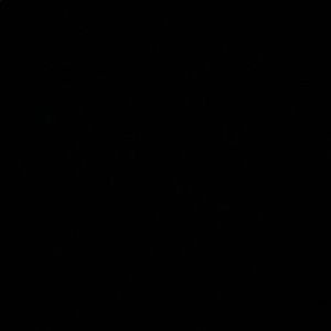 Meet your Posher, Roho